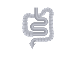 source-of-fibre