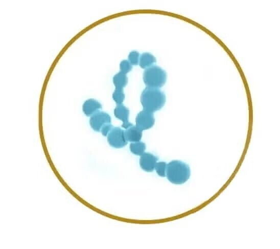 IKÄÄN SOPIVA PROTEIININ LAATU