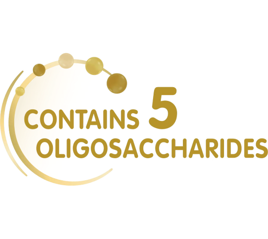 5 OLIGOSAKKARIDIA